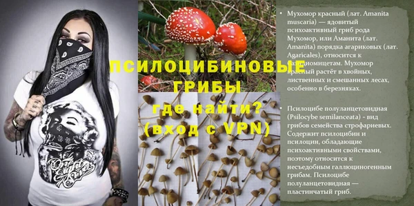 каннабис Корсаков